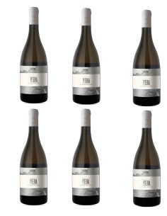 Piteira Vinho De Talha White 2016 | Amareleza Vinhos 2