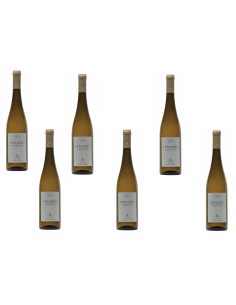 Vidigueira Ant&atilde;o Vaz Branco 2019 | Adega Cooperativa da Vidigueira 2