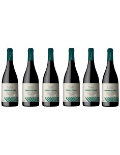 Paulo Laureano Vinhas Velhas Organic Wine | Paulo Laureano 2