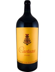 Cartuxa Tinto Vinho de Talha Bio 2017 | Cartuxa