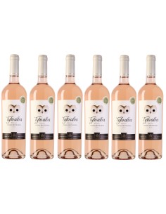 Tyto Alba Rose 2018 | Companhia das Lez&iacute;rias 2