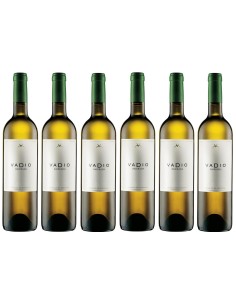 Vadio Branco 2018 | Vadio - Luis Patr&atilde;o 2