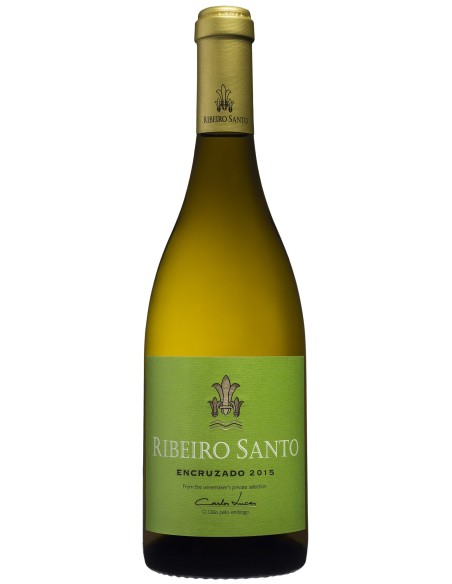 Ribeiro Santo Encruzado 2020 | Magnum Vinhos - Ribeiro Santo