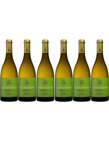 Ribeiro Santo Encruzado 2020 | Magnum Vinhos - Ribeiro Santo