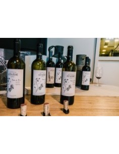 Quinta do Ata&iacute;de Tinto 2016 | Symington Family Estates 2