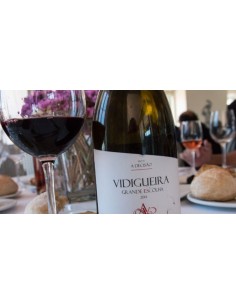 Vidigueira Grande Escolha Tinto 2015 | Adega Cooperativa da Vidigueira 2