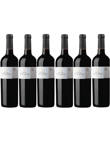 Quinta de Ventozelo Touriga Franca 2017 | Quinta de Ventozelo