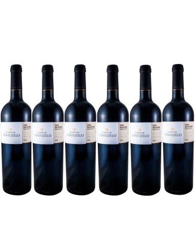 Quinta de Ventozelo Syrah Oaked Red 2018 | Quinta de Ventozelo