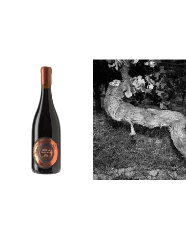 Elfa Casa de Mouraz&nbsp;Tinto 2015 | Casa de Mouraz