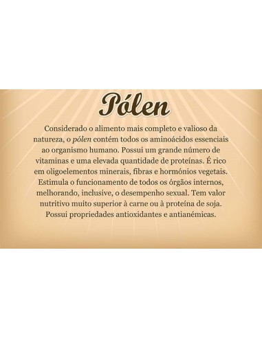 P&oacute;len ApiHoney 130g | Apimel
