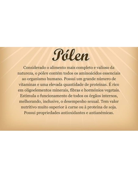 P&oacute;len ApiHoney 130g | Apimel
