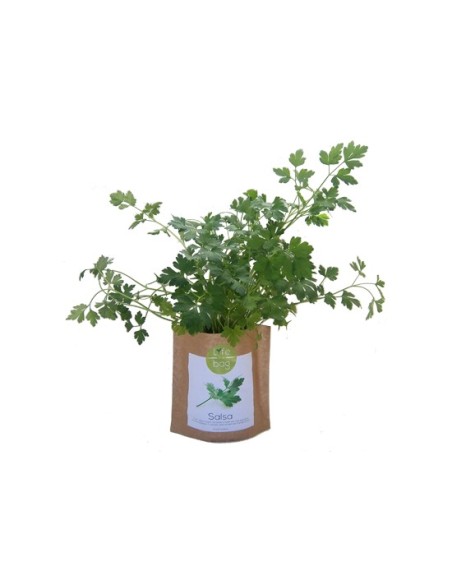 Grow Bag Salsa | Life in a Bag