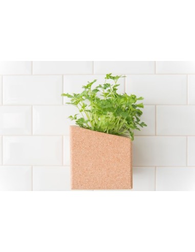 Grow Box Duo (Rabanete, Br&oacute;loco, R&uacute;cula, Beterraba, ...) | Life in a Bag