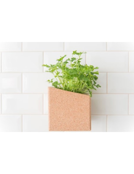Grow Box Duo (Rabanete, Br&oacute;loco, R&uacute;cula, Beterraba, ...) | Life in a Bag