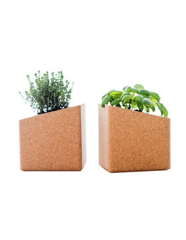 Grow Box Duo (Rabanete, Br&oacute;loco, R&uacute;cula, Beterraba, ...) | Life in a Bag