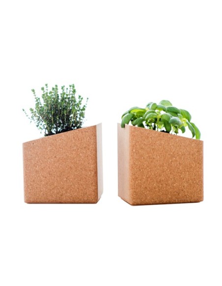 Grow Box Duo (Rabanete, Br&oacute;loco, R&uacute;cula, Beterraba, ...) | Life in a Bag