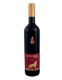 Lupucinus Colheita Tinto 2019 | Quinta de Lubazim 2