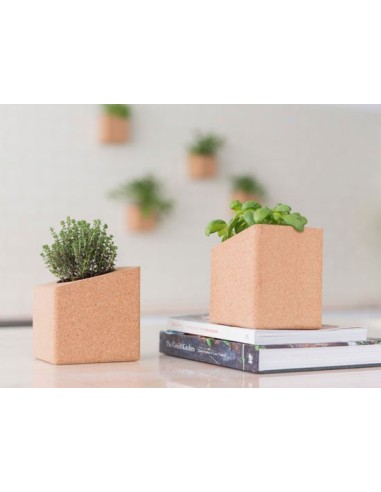 Grow Box Duo (Rabanete, Br&oacute;loco, R&uacute;cula, Beterraba, ...) | Life in a Bag