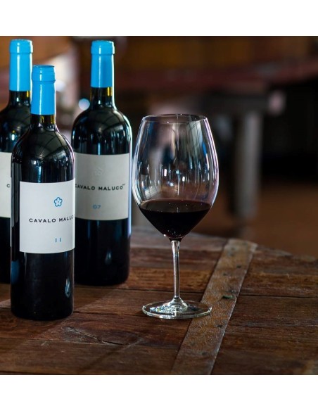 Cavalo Maluco Red 2014 75cl | Herdade do Portocarro
