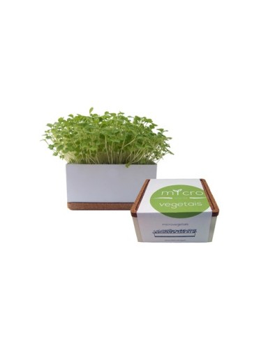 Grow Box uno | Life in a Bag