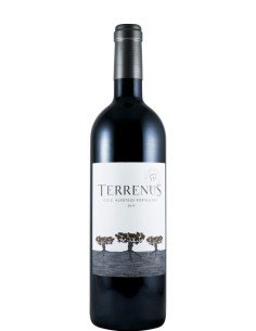 Terrenus Tinto 2015 75cl | Rui Reguinga