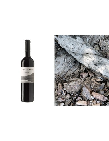 Ant&oacute;nio Lopes Ribeiro&nbsp;Red 2015 | Casa de Mouraz