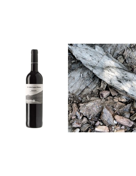 Ant&oacute;nio Lopes Ribeiro&nbsp;Red 2015 | Casa de Mouraz