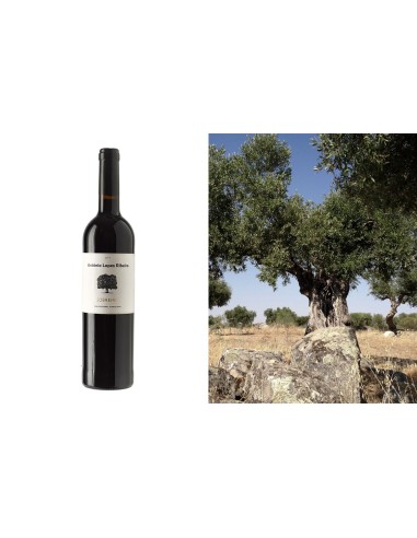 Ant&oacute;nio Lopes Ribeiro Sobreiro Reserva Biol&oacute;gico Tinto 2013 | Casa de Mouraz