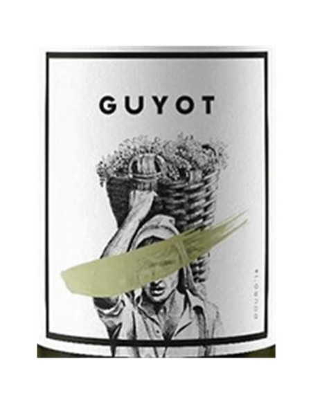 Guyot White 2017 | Portugal Boutique Winery