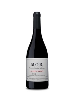 MOB&nbsp;Alfrocheiro 2015 | M.O.B. (Moreira, Olazabal e Borges)