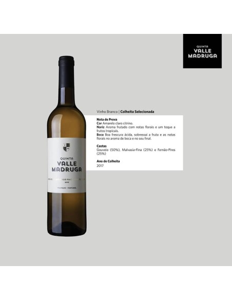 Quinta Valle Madruga Colheita Selecionada Branco 2017 | Quinta Valle Madruga