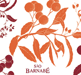 S&atilde;o Barnab&eacute;